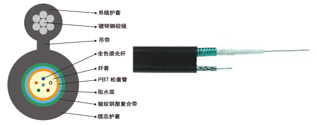 GYXTC8S:金属加强构件、中心束管填充式、钢-聚乙烯粘结护套、“8”字自承式通信用室外光缆